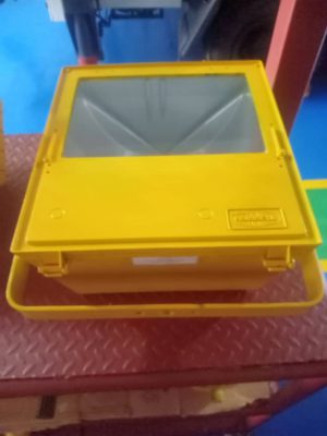 Flood Light